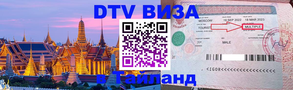 Оформление DTV визы под ключ: стоимость и тарифы, только загранпаспорт - 